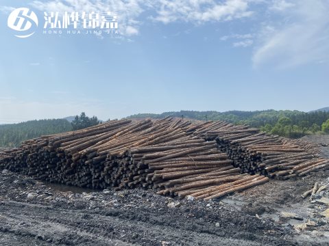 河道打樁為什么選擇松木樁來處理軟地基？-松木樁施工使用范圍