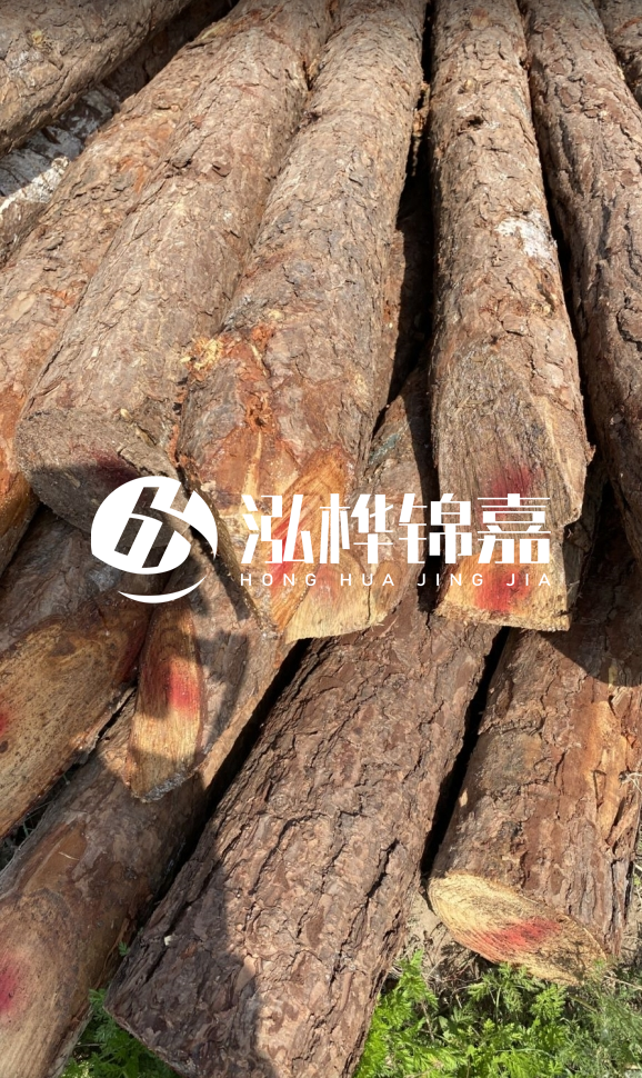 <strong>松木樁和杉木樁的用途區(qū)別？哪個(gè)更適合打樁用？</strong>