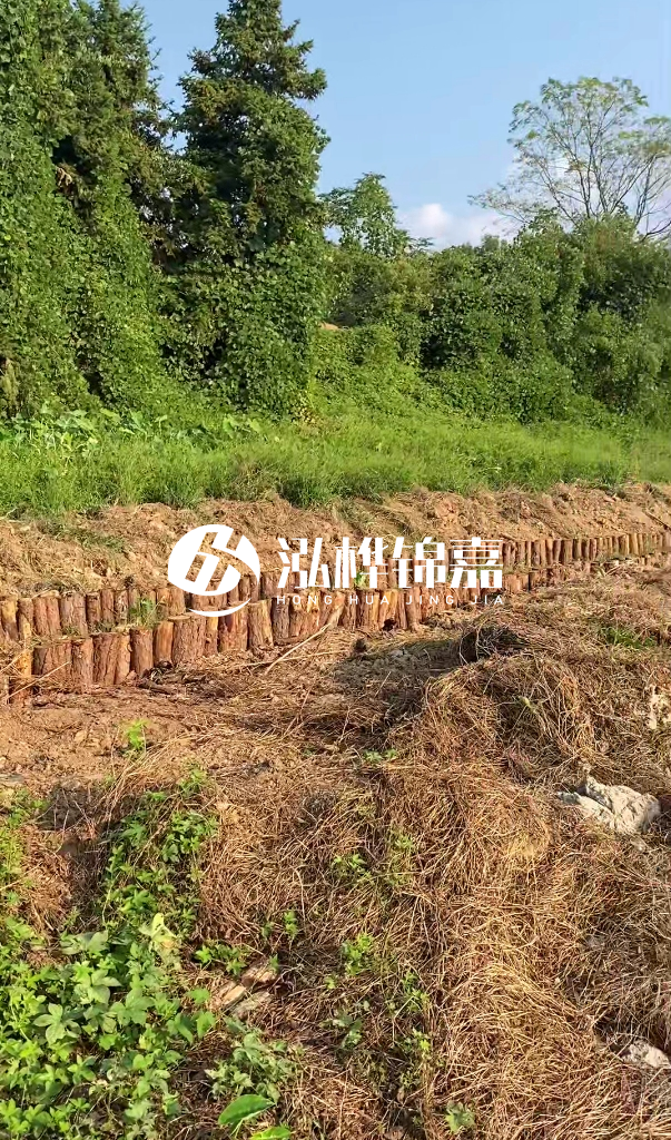 許昌河道清淤專(zhuān)業(yè)施工-河道污水治理要多長(zhǎng)時(shí)間？