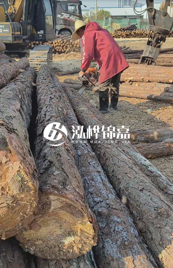 長沙打樁木批發(fā)廠家在哪里？聯(lián)系方式是什么？