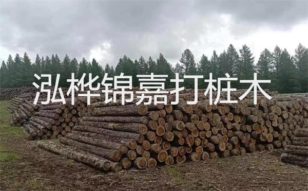 選擇紅磚護(hù)坡，打造獨(dú)特的美麗景觀