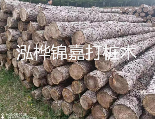 高效修補(bǔ)，保駕護(hù)航！水泥路面高強(qiáng)度修補(bǔ)料為您解決煩惱！