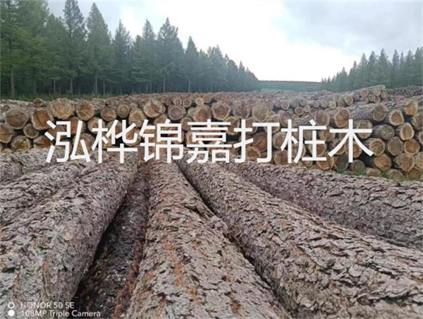 高效施工，圓松木樁助力建筑工程進(jìn)展順利