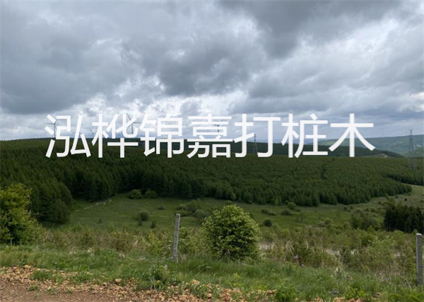 松木樁能重復(fù)施工么？