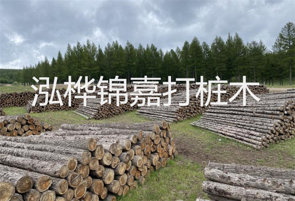 預(yù)制松木樁施工工藝：優(yōu)質(zhì)材料，高效快速，堅固耐用