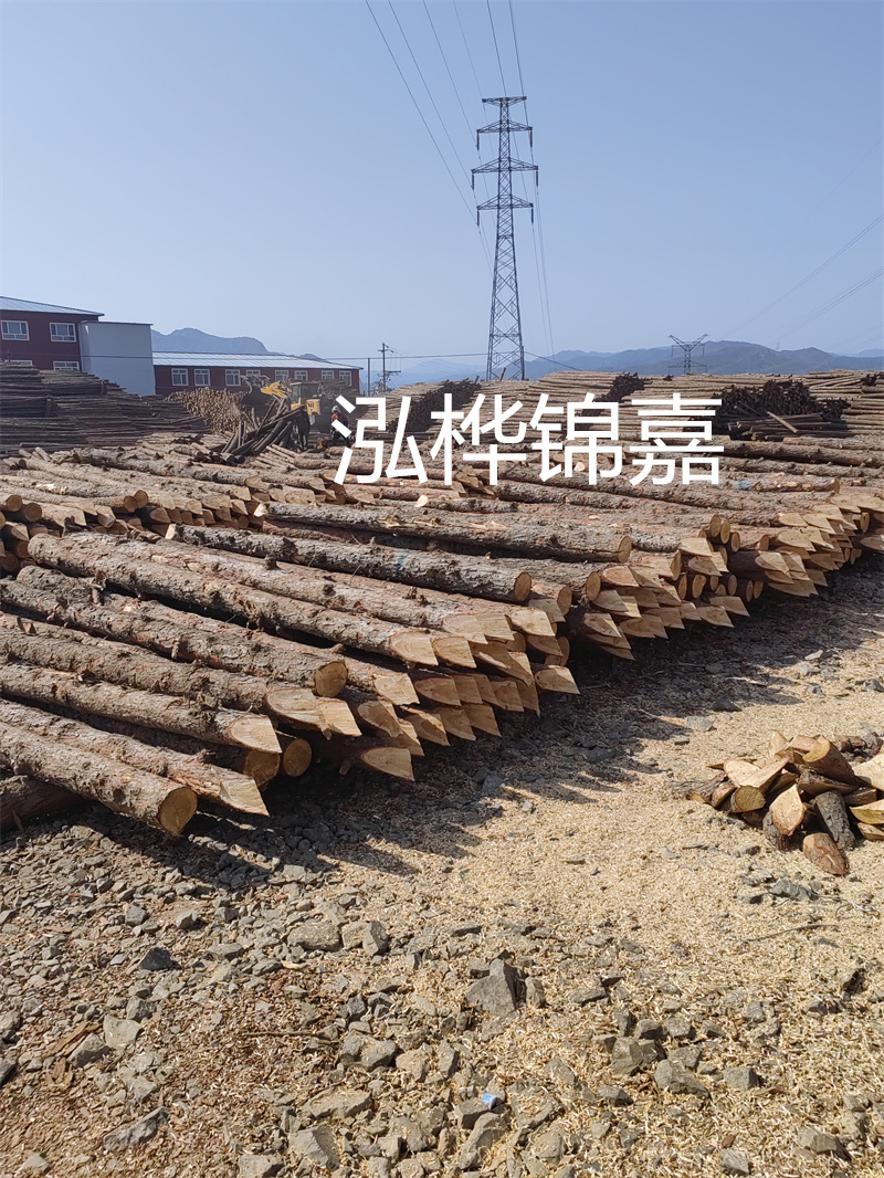 深入了解松木樁基礎(chǔ)施工單價(jià)，助力工程建設(shè)順利進(jìn)行！