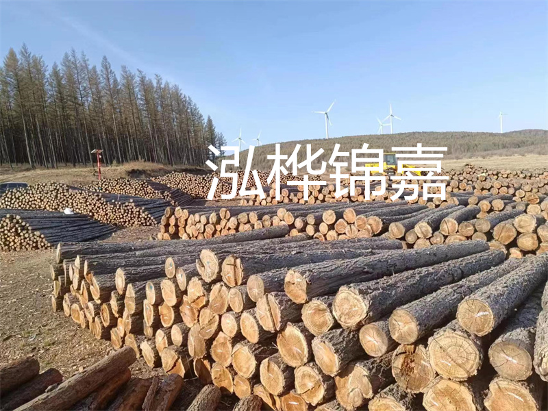 用路基松木樁施工方案提升工程質(zhì)量描述：了解路基松木樁施工方案的重要性，提高工程質(zhì)量關(guān)鍵詞：路基松木樁，施工方案，工程質(zhì)量