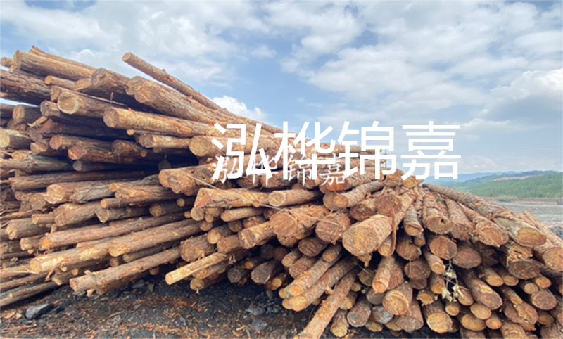 濮陽松木樁，卓越品質(zhì)，安全可靠