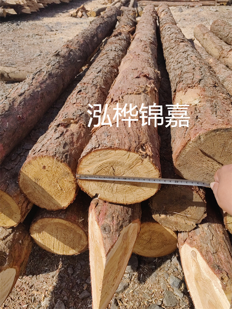福建哪里買松木樁？