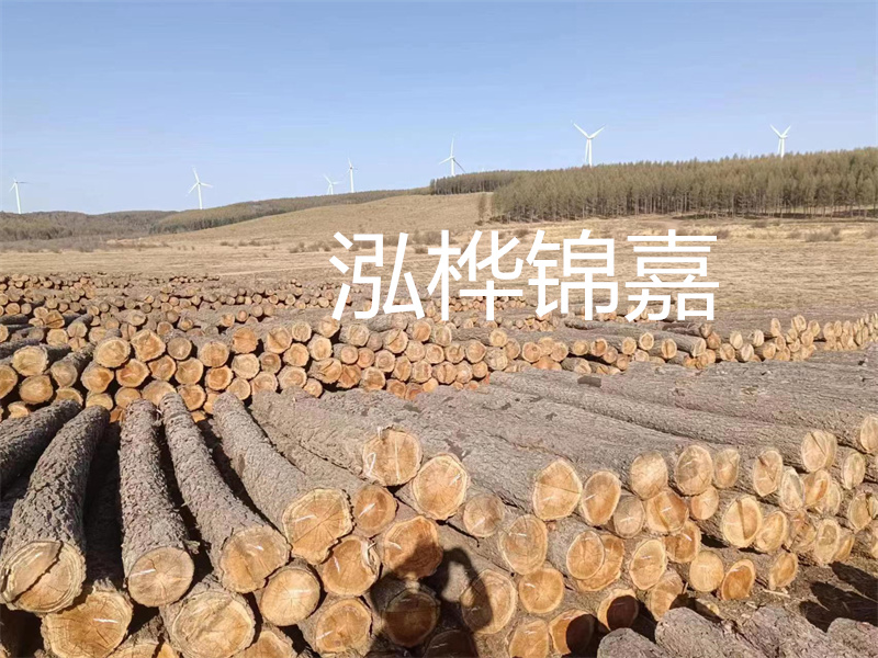 濟(jì)南哪里賣松木木樁？